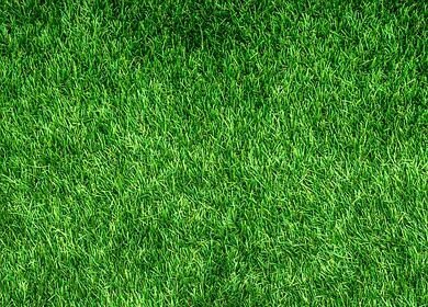 Surf and Sustain: How Portugal is Pioneering Eco-Friendly Surfing