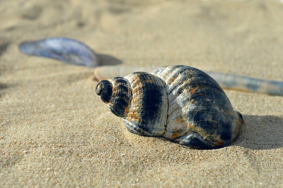 Surf and Stay: Your Ultimate Guide to Portugal’s Best Surf Camps and Lodges