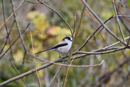 Feel free to modify any of these to fit your style!