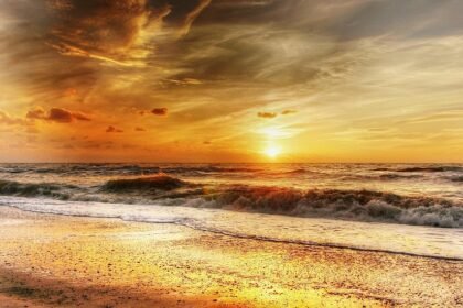 Wave Warriors: Rating Portugal’s Surf Spots for Thrill Seekers