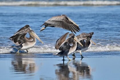 Surfing Portugal: Epic Spots to Ride the Atlantic Waves