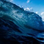 CRM for Small Businesses: Affordable Solutions That Drive Growth