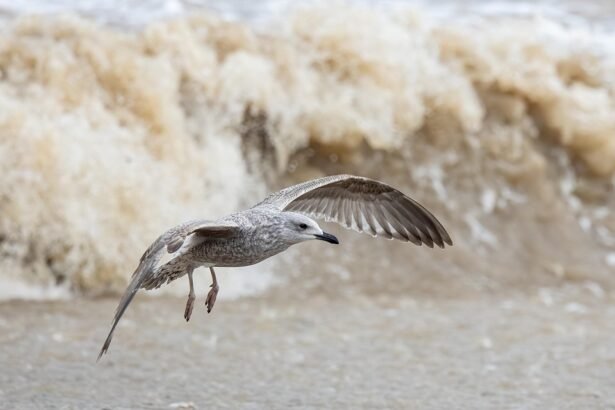 Choosing the Right CRM: Key Features Your Business Can’t Ignore