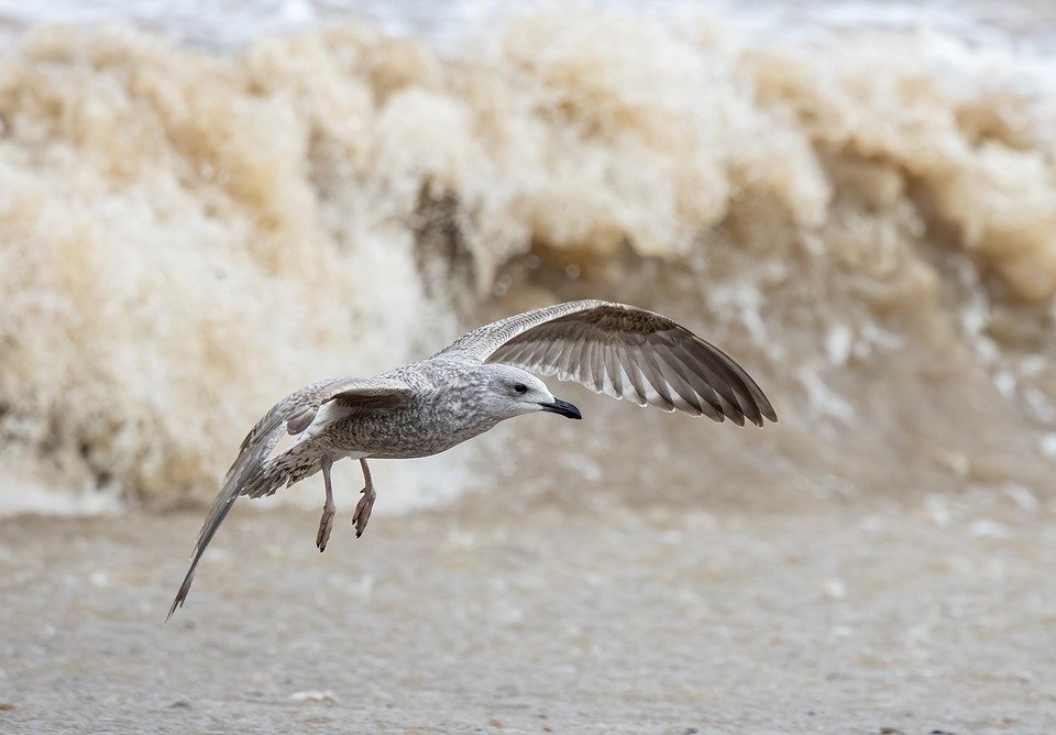 Choosing the Right CRM: Key Features Your Business Can’t Ignore