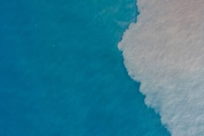 Riding the Waves: Discovering Portugal’s Thriving Surf Culture