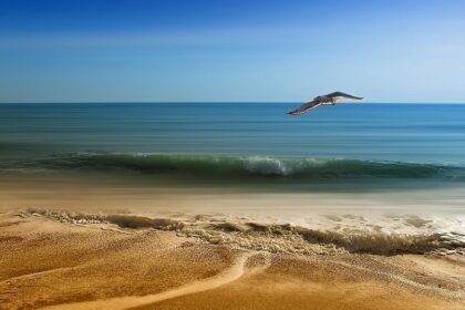 Riding the Waves: Your Ultimate Surf Guide to Portugal’s Hidden Gems