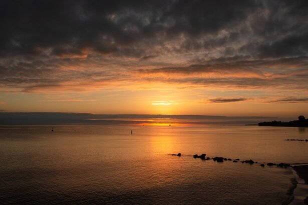 The Rise of Women in Surfing: Celebrating Female Talent in Portugal