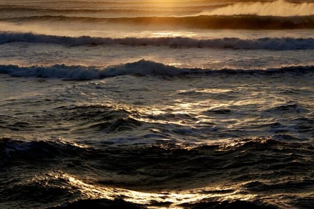 Surfing Made Easy: Top Picks for Beginner-Friendly Waves in Portugal