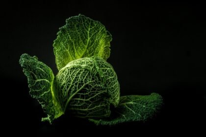 Hang Ten and Hang Out: The Ultimate Guide to Surfer Cafes in Portugal