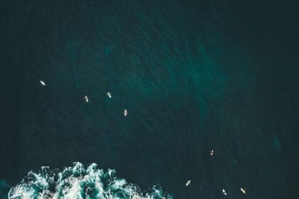 Revolutionize Your Customer Relationships: The Ultimate Guide to CRM Software