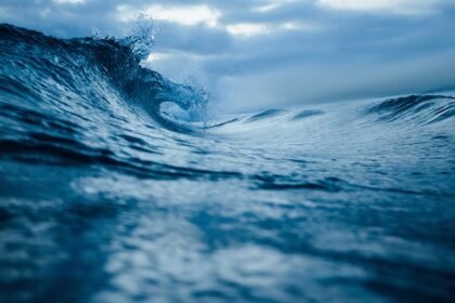 No Waves? No Problem! Embrace Rest Days for Better Surf Sessions