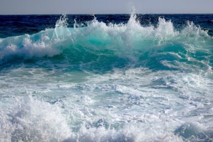 Feel free to mix and match or modify these ideas to suit your style!