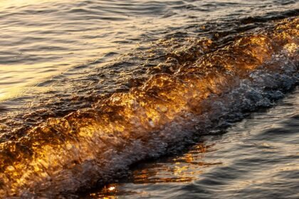 Wave Goodbye to Burnout: Why Rest Days are Essential for Surfers