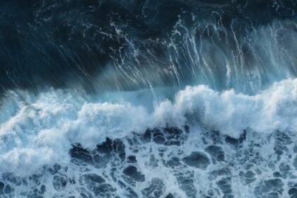 From Ericeira to Nazaré: Portugal’s Most Epic Surf Destinations Reviewed